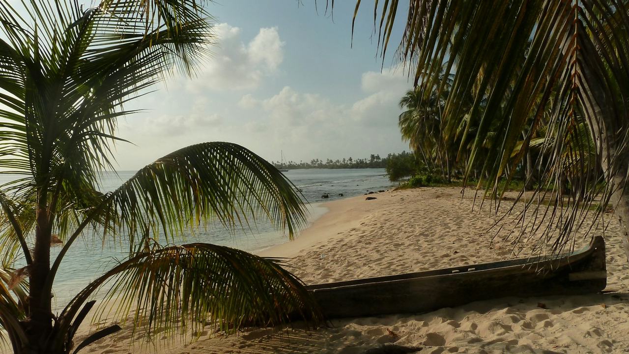 Palm-covered island in Guna Yala