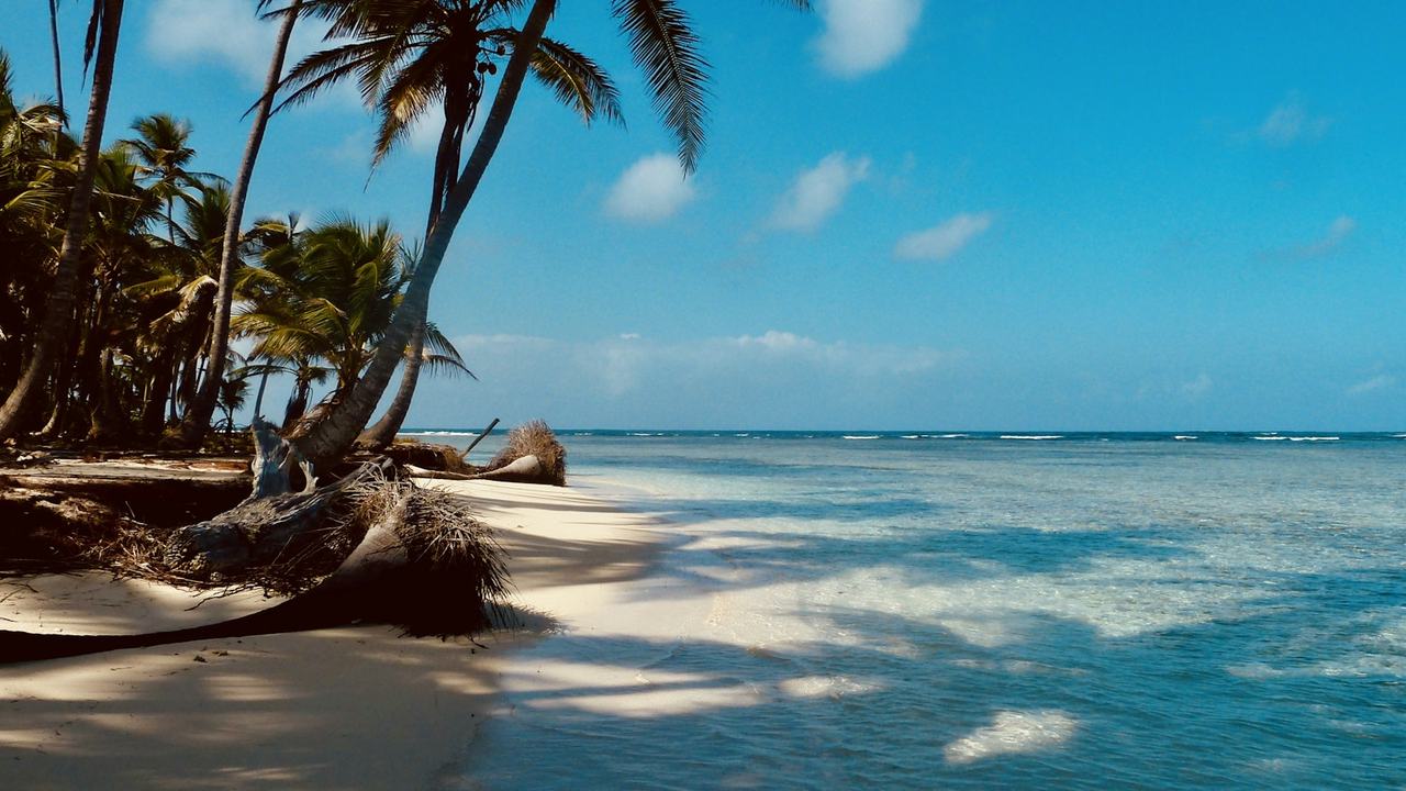 Calm turquoise water and palm trees on a quiet San Blas beach