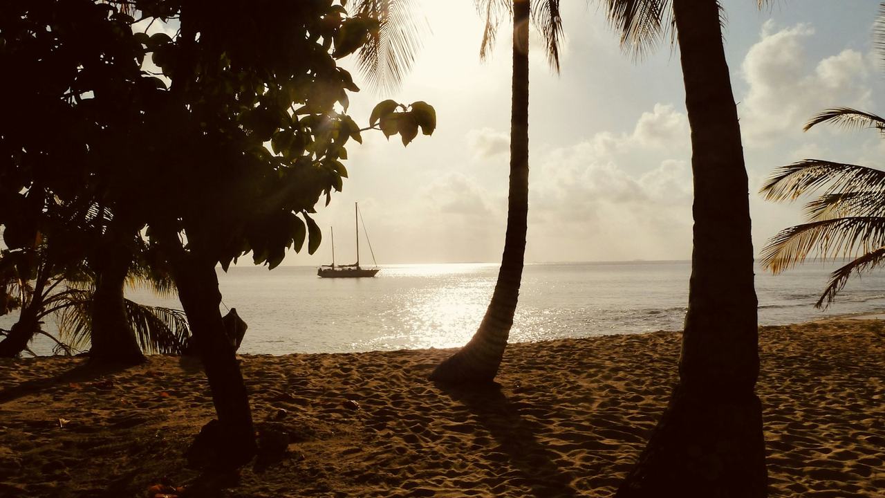 Palm trees and a sailboat at sunset on a San Blas island