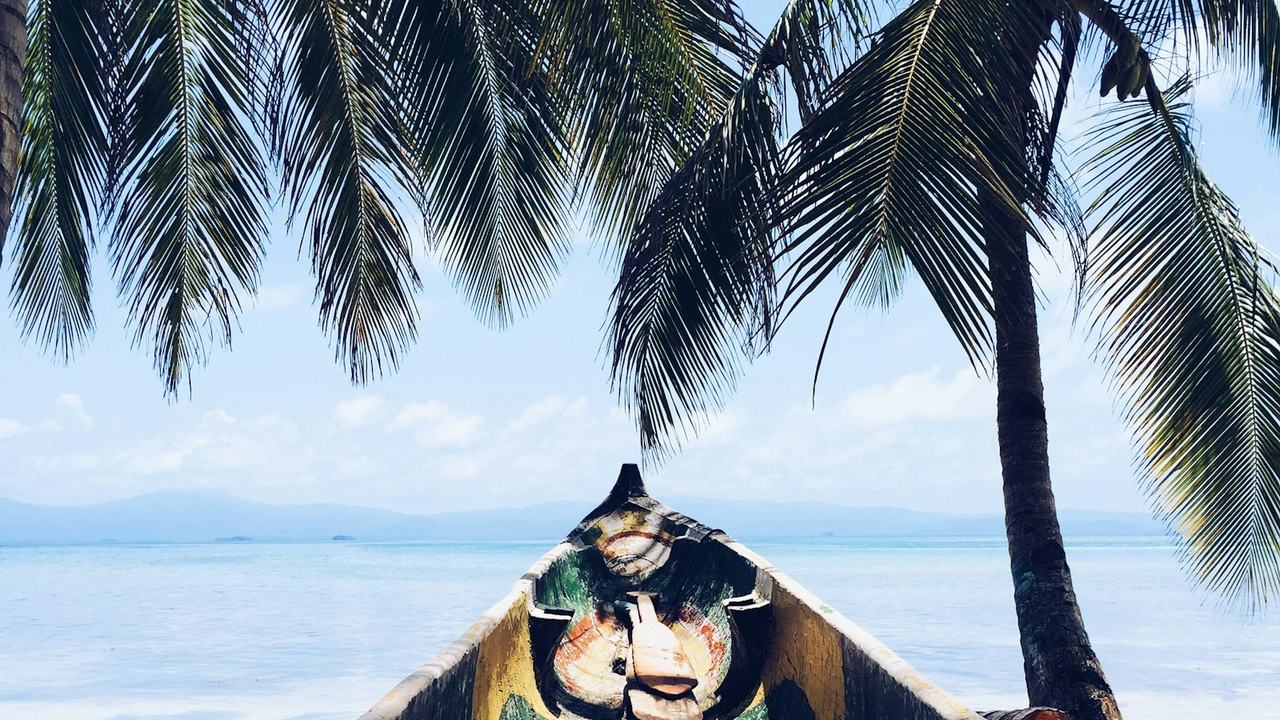 Traditional Guna dugout canoe on a beach under palm trees
