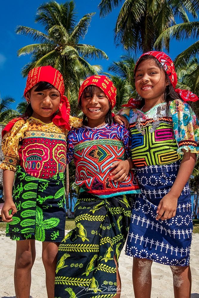 Colaboración comunitaria