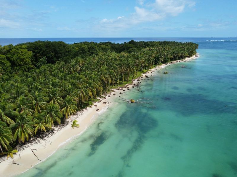 Caribbean beach with palm trees and turquoise water