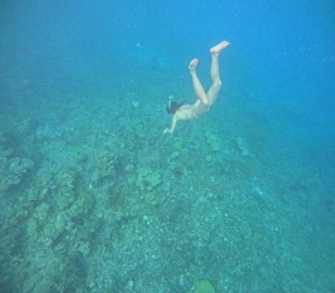 Snorkeller over the reef