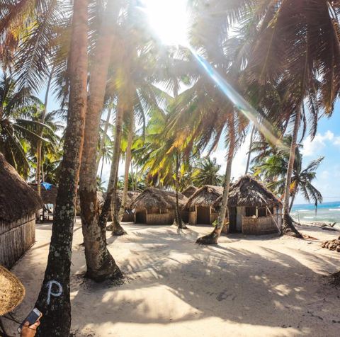 Palm trees and cabins on the sand